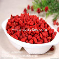 2014high quality dried lycium barbarum